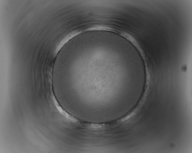 X0000116001049200911191420