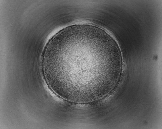 X0000116001053200911191420