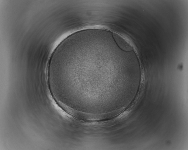 X0000116001054200911191420