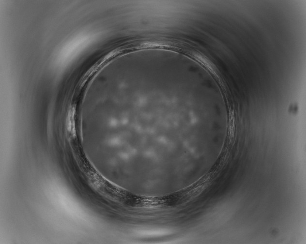 X0000116001055200911191420