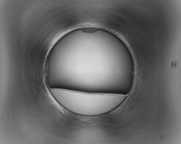 X0000116001056200911191420