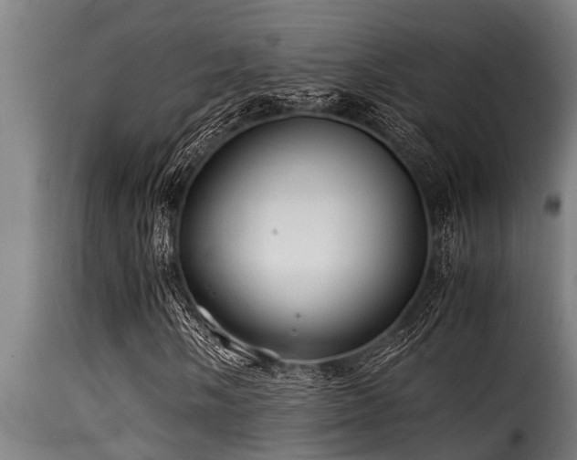 X0000116001058200911191419