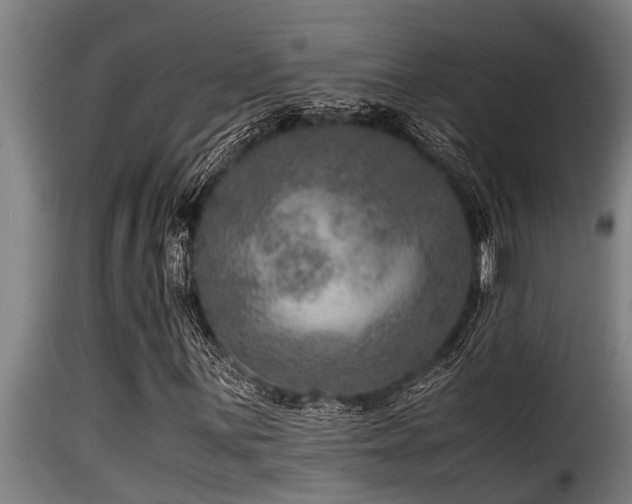 X0000116001059200911191419