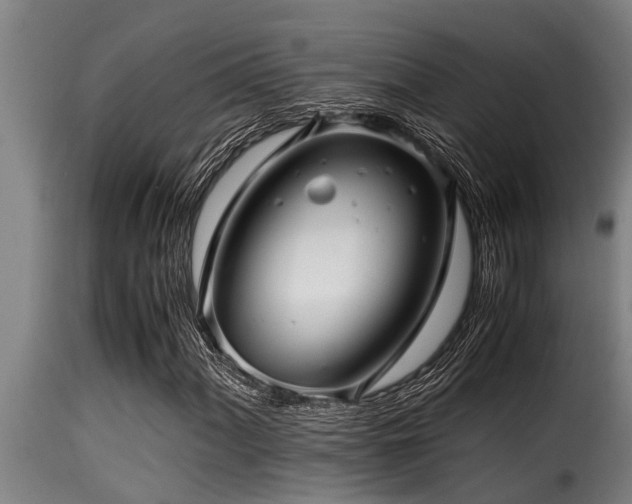 X0000116001060200911191419