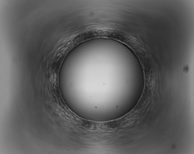 X0000116001061200911191419