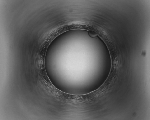 X0000116001062200911191419