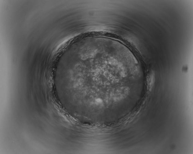 X0000116001064200911191419