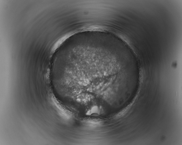 X0000116001066200911191419