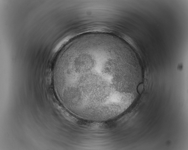 X0000116001067200911191419