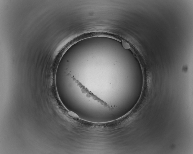 X0000116001069200911191419