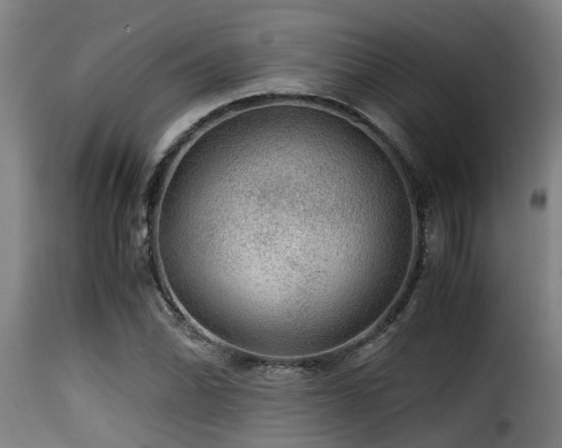 X0000116001070200911191419