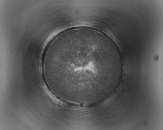 X0000116001072200911191419