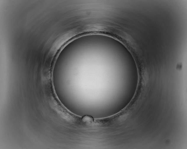 X0000116001073200911191419