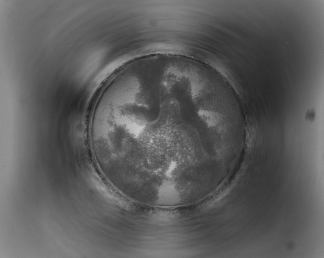 X0000116001074200911191419