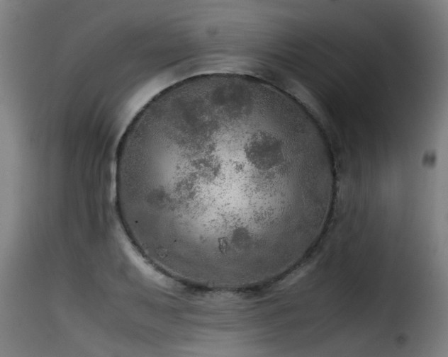 X0000116001079200911191419