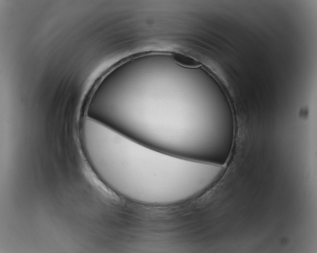 X0000116001080200911191419