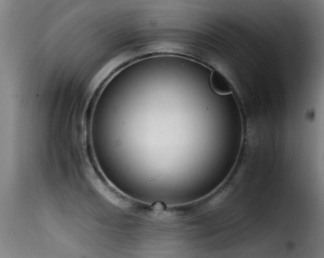 X0000116001082200911191419