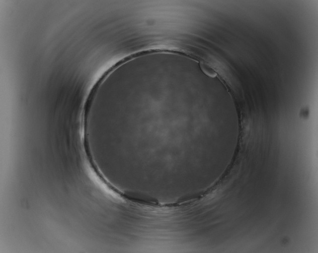 X0000116001084200911191419