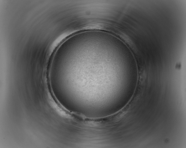 X0000116001086200911191419