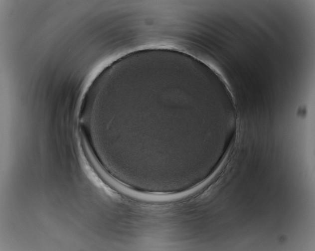 X0000116001088200911191419