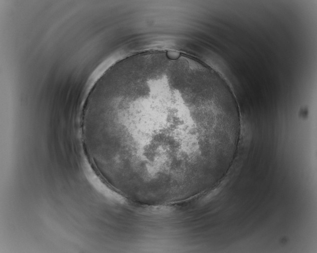 X0000116001090200911191419