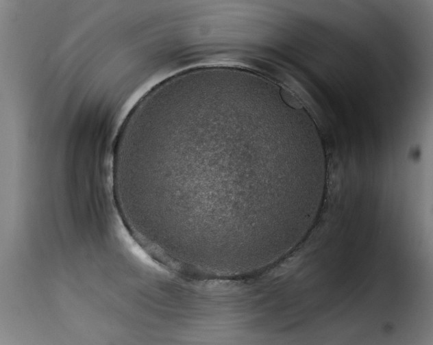 X0000116001092200911191419