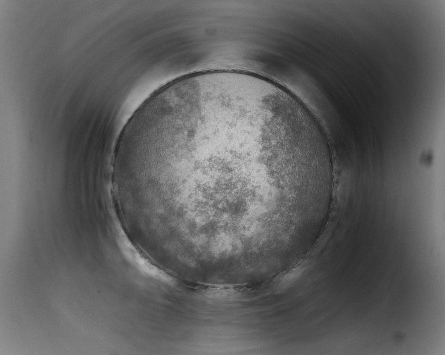 X0000116001094200911191419