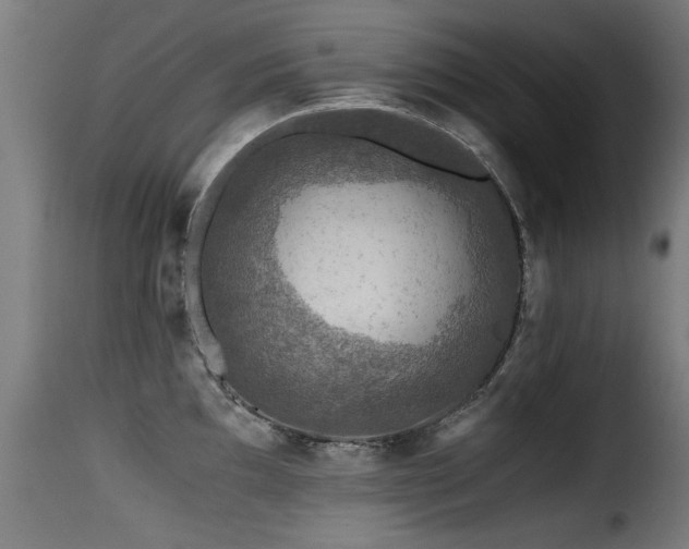 X0000116001097200911191419