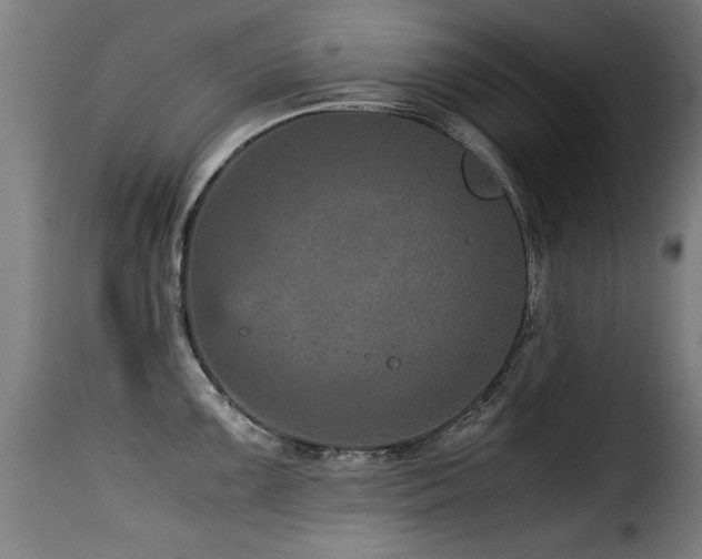 X0000116001099200911191419