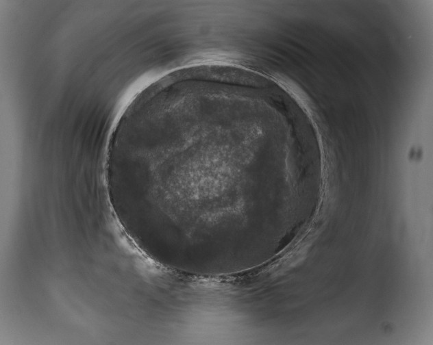 X0000116001104200911191419