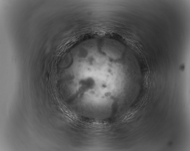 X0000116001105200911191418