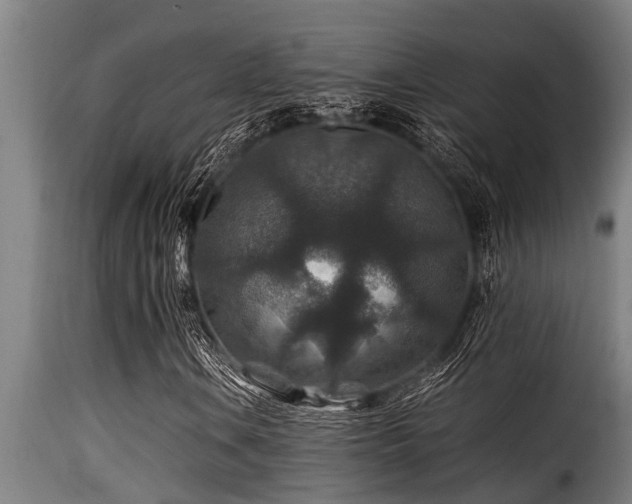 X0000116001106200911191418