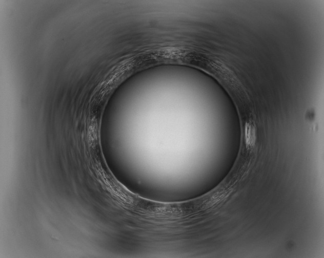 X0000116001107200911191418