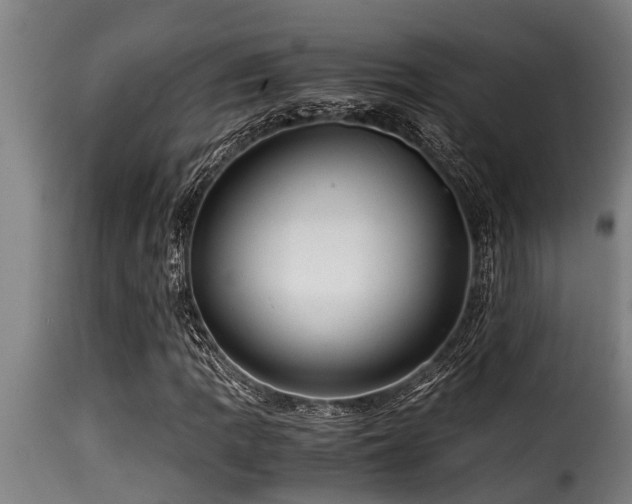 X0000116001109200911191418