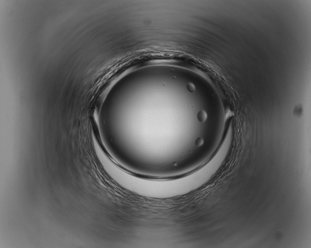 X0000116001110200911191418