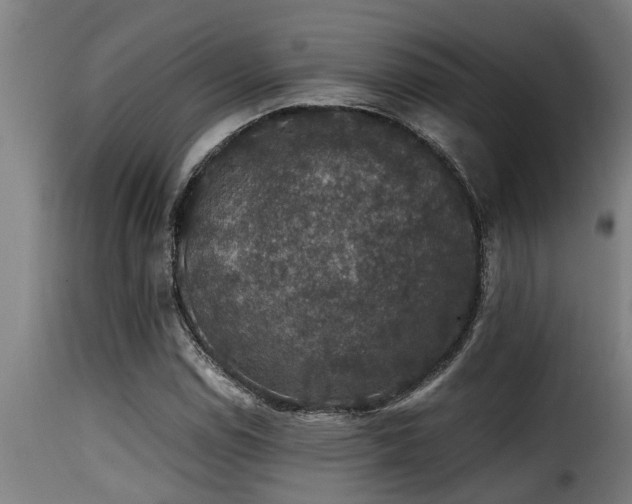 X0000116001114200911191418