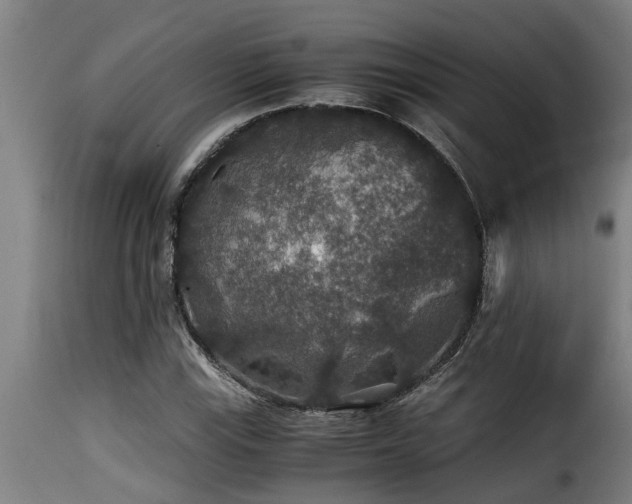 X0000116001115200911191418