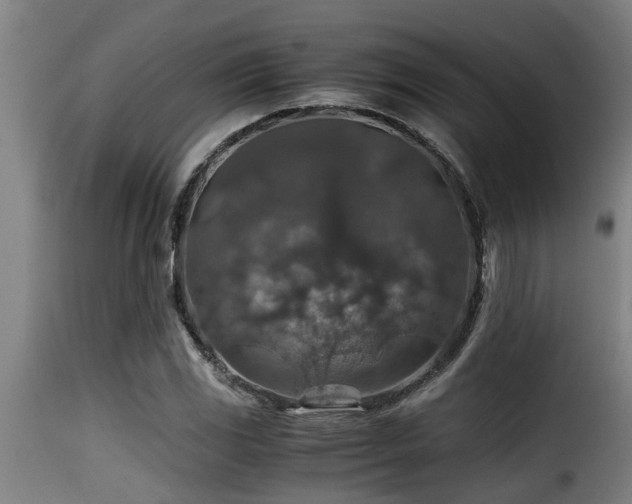 X0000116001117200911191418