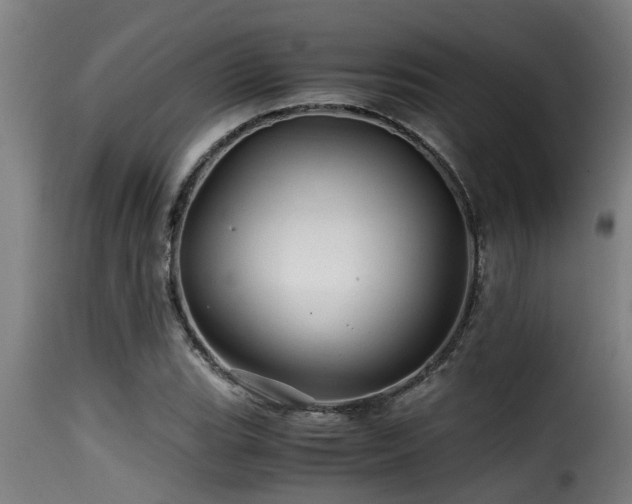 X0000116001119200911191418