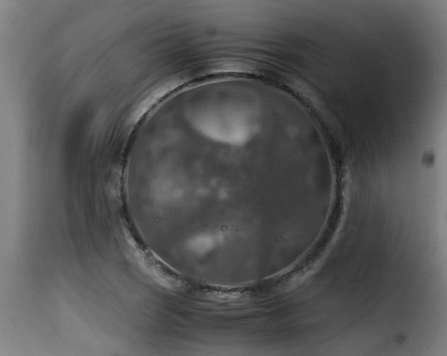 X0000116001121200911191418