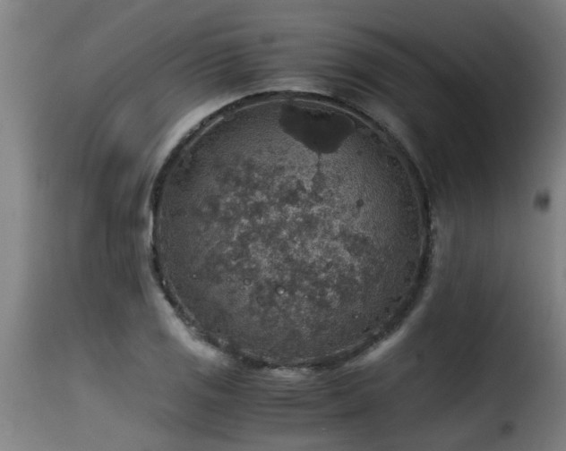 X0000116001125200911191418