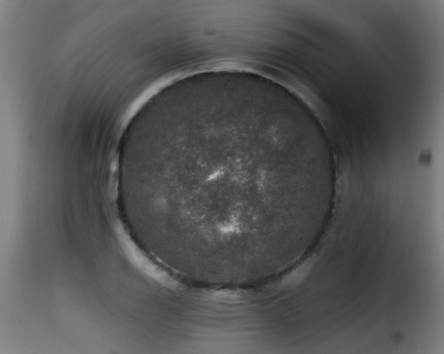 X0000116001126200911191418