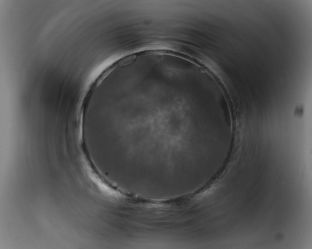 X0000116001127200911191418