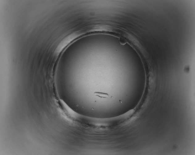 X0000116001129200911191418