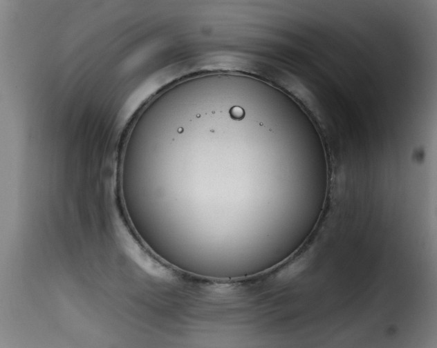 X0000116001130200911191418