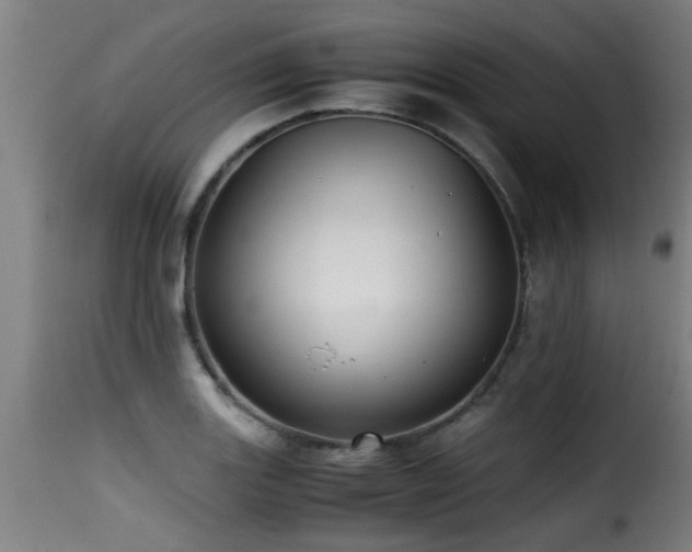 X0000116001131200911191418