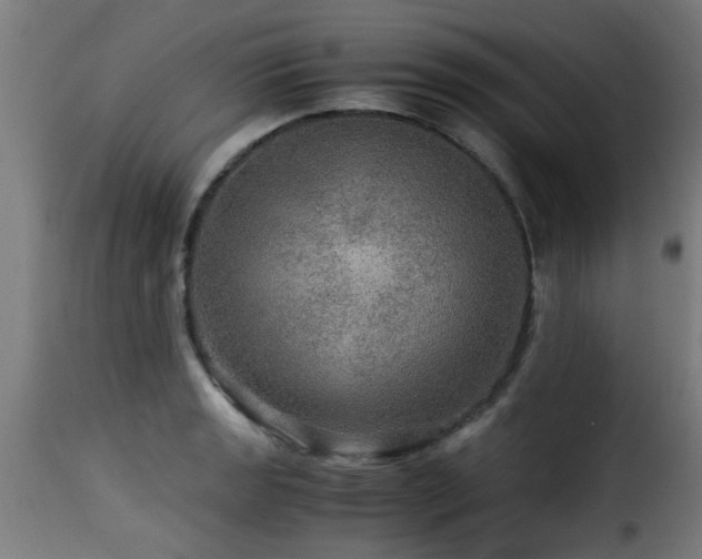 X0000116001133200911191418