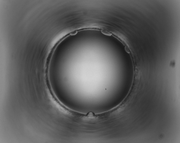 X0000116001135200911191418