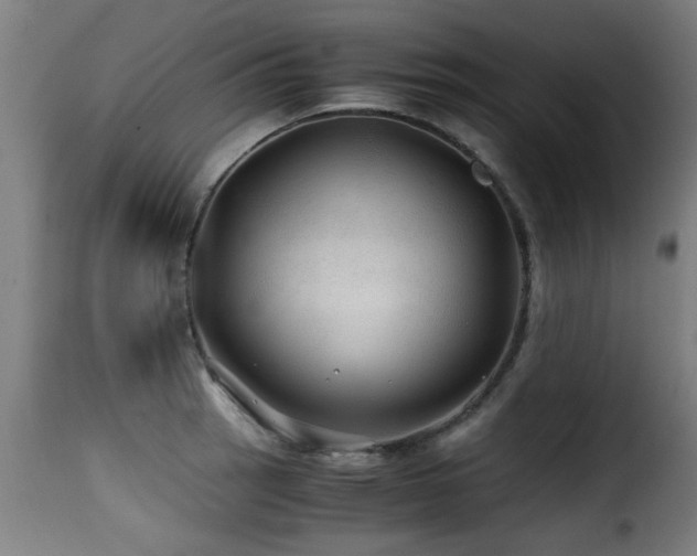 X0000116001137200911191418