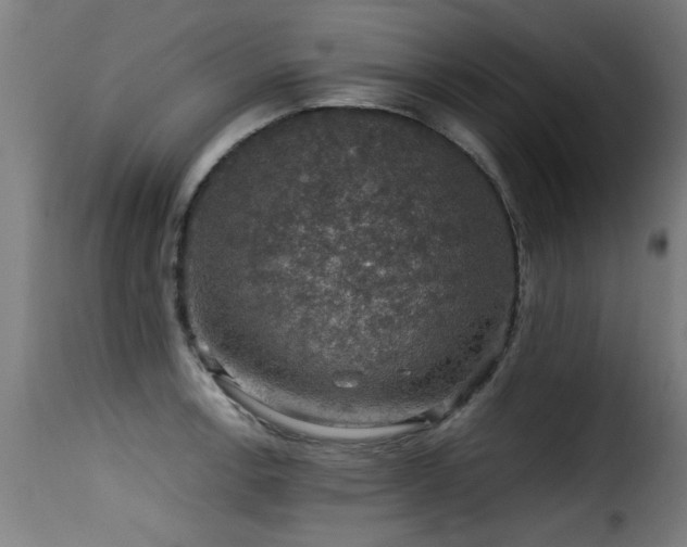 X0000116001138200911191418